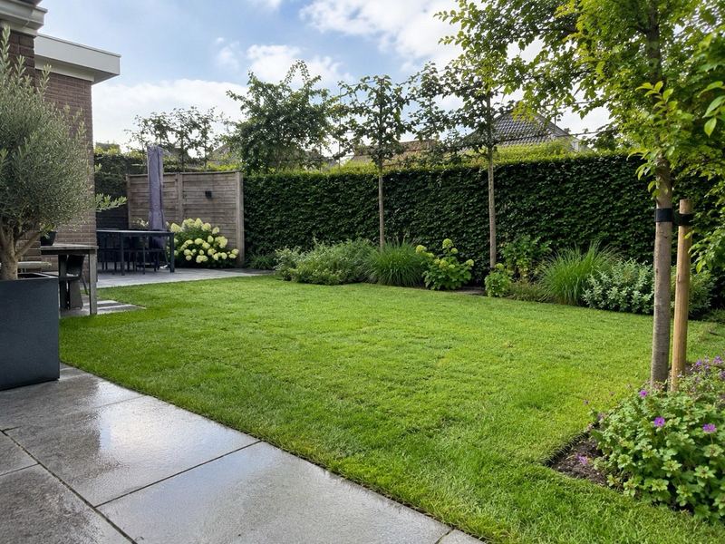 Gepflegter Garten mit Rasen, Hecke und Terrasse