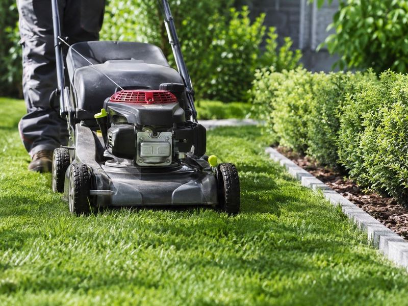 Rasenmähen in einem gepflegten Garten
